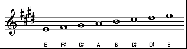 E Chord On Guitar Chord Shapes Major Scale And Songs In The Key Of E