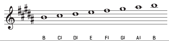 B Major Chord On Guitar Chord Shapes Major Scale And Songs